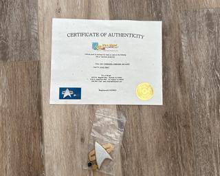 Authentic Star Trek Voyager Oversized Combadge and Rank Prop with COA