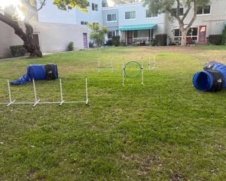 Dog Agility Training Set (Incl 2 Tunnels, 2 hurdle jumps, 1 hoop jump, a weave section)