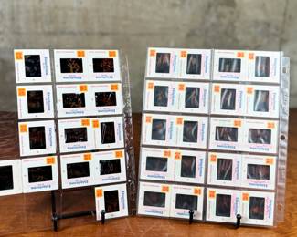 Vintage 35mm slides primarily organized in a transparent holder. Each slide features labels with the name “Richard Creamer” and addresses in Beverly Hills and Los Angeles, CA. Subjects documented include notable music acts such as Seals & Crofts and Donna Summer.