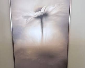 Heavenly Cosmos Framed Canvas Wall Art by Mandy Disher
