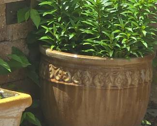 Terracotta Planter with Embossed Scrollwork