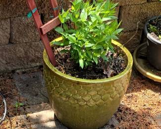 Textured Ceramic Planter Pot