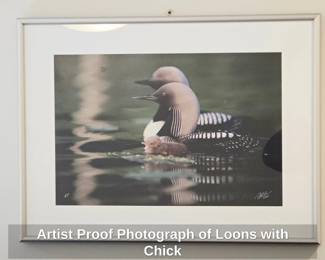 Artist Proof Photograph of Loons with Chick