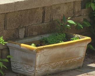 Decorative Concrete Planter with YellowOchre Rim and Acanthus Motifs