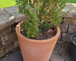 Terracotta Fluted Planter