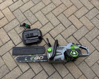 Ego chainsaw 
