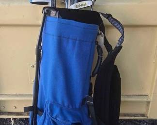 2810 Ping Golfing Bag