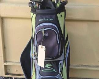 2808 Cobra Golfing Bag