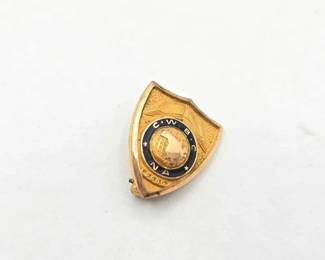 1002 10k Gold Filled Pin, 2g