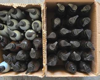 2918  Shampoo and Conditioner Bottles