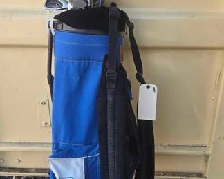 2816 Ping Golfing Bag