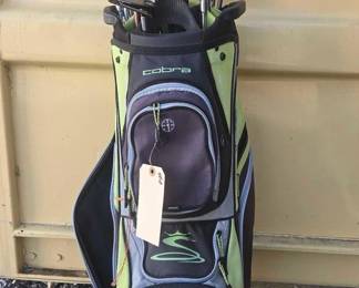 2808  Cobra Golfing Bag