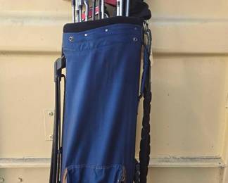 2818  Wilson Golfing Bag