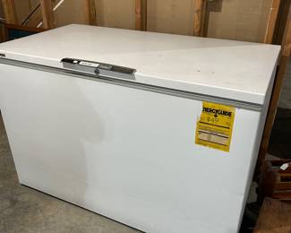 MONTGOMERY WARD 18.0 CU FT FREEZER