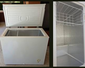 Clean Chest Freezer