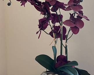 Decor
