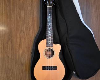 Bruce Wei ukulele