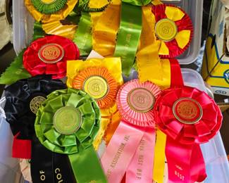 1970s Cat Fanciers Association Ribbons & Awards