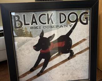 030 14x14ryanfowlerblackdogskicompan