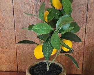 Artificial Lemon Tree in Basket Pot