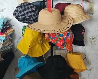Assorted Summer Hats Collection