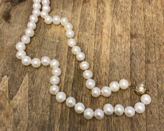 Classic White Freshwater  Pearl Strand Necklace with Gold Clasp
