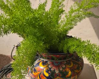 2 Talavera potted plants & ferns