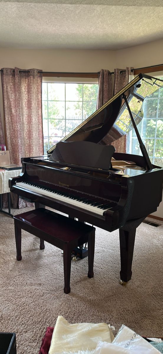 Baby grand piano comes with music disc