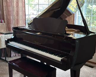 Baby grand piano comes with music disc