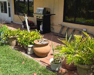 Plants, plants, plants