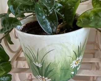 Plants