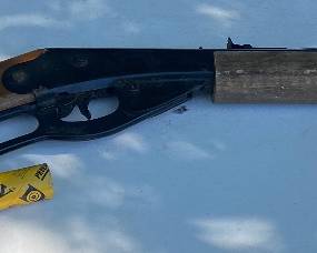 Red Ryder BB Gun