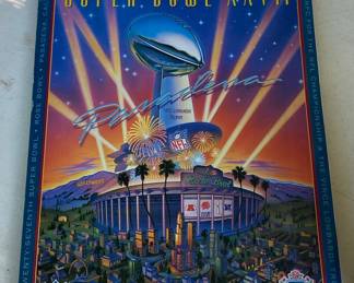 Super Bowl 27 Program