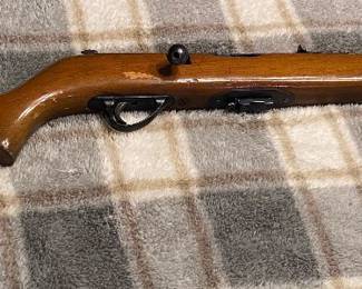 Springfield Model 234 22 Caliber Rifle