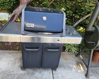 Weber Spirit grill