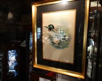 1 of 2 John Gould Humming Bird Prints, Beautifully Framed