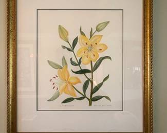 Lily Testaceum Watercolor Painting by Arthur Davison
