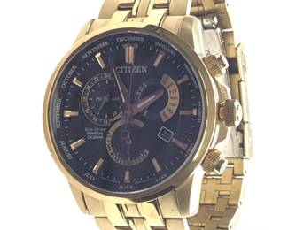 Citizen Eco-Drive Perpetual Calendar Men’s Watch
