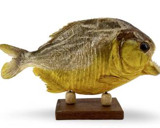 Taxidermy Piranha Fish Mount