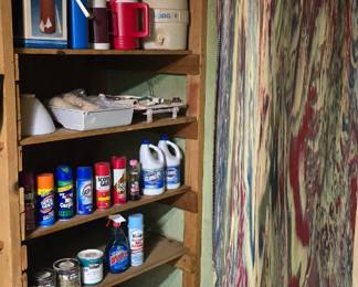 Basement storage area, cleaning and painting supplies along with vintage garment bags