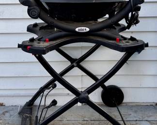 Weber Electric Grill