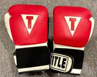 Title Boxing Gloves