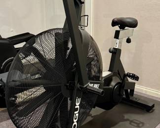 Rogue Echo Bike