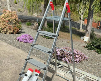 Lot 3: Hailo Ladder