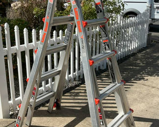 Lot 1: Little Giant Ladder