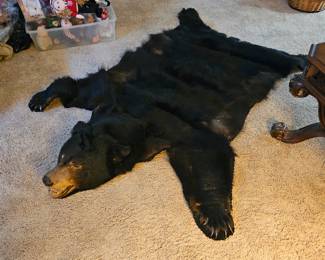 Antique bear  rug 