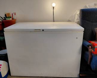 Freezer chest!