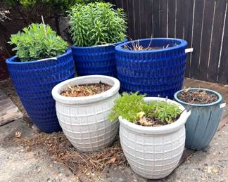 Outdoor plants + planters