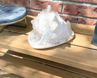 Conch shell + natural stone decor