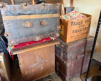 Travel Trunks 